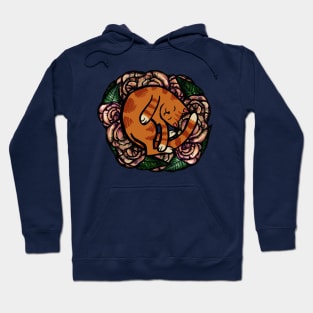 Orange Cat Cute Kitty Ball Hoodie